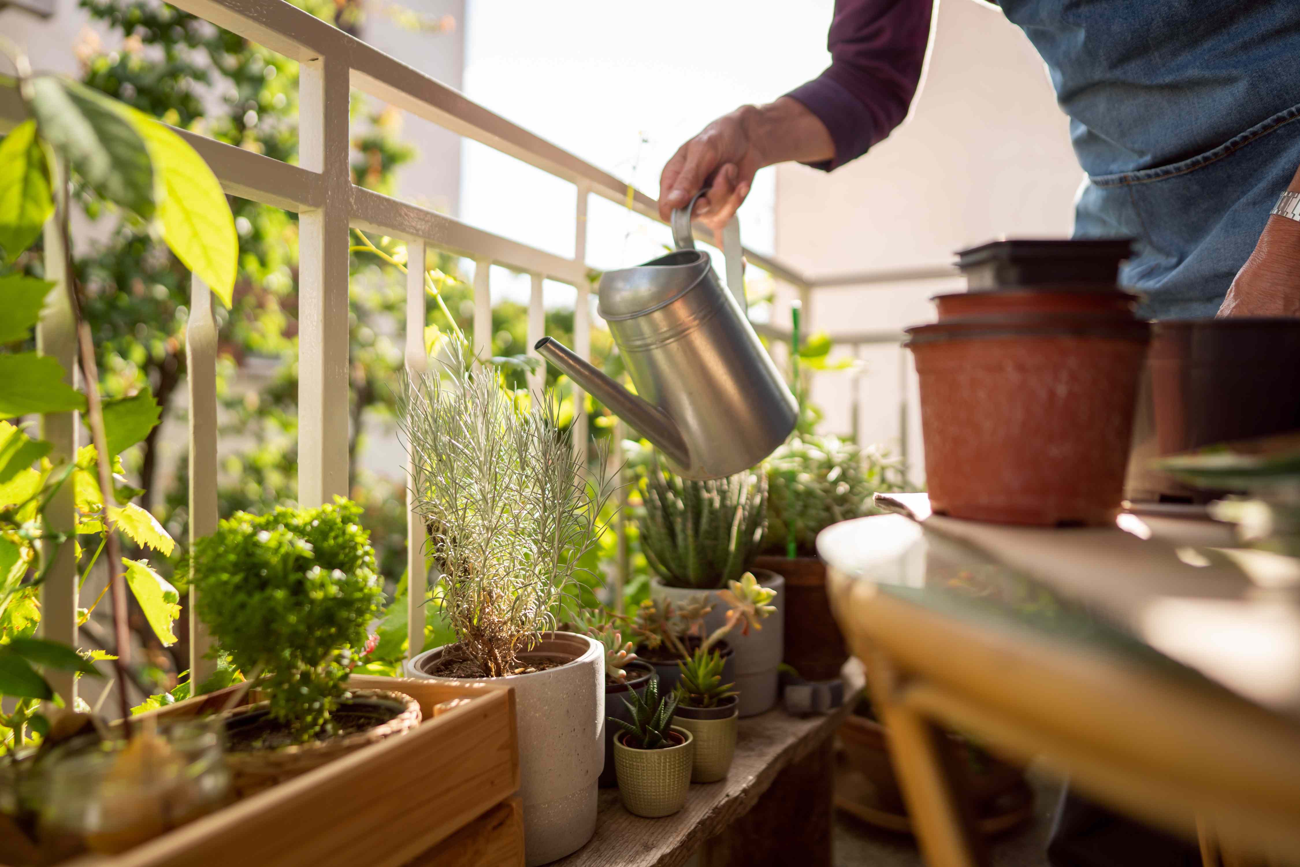 He Asked His Upstairs Neighbor to Stop Drenching His Patio—Now He’s the Villain