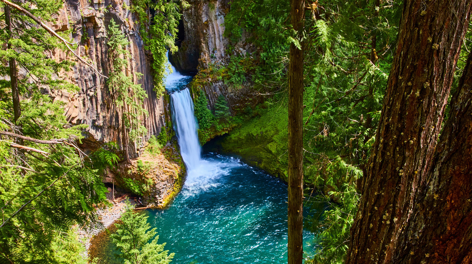 One Of Oregon's Most Beloved Waterfalls Is An Enchanting Attraction Hiding In An Old-Growth Forest