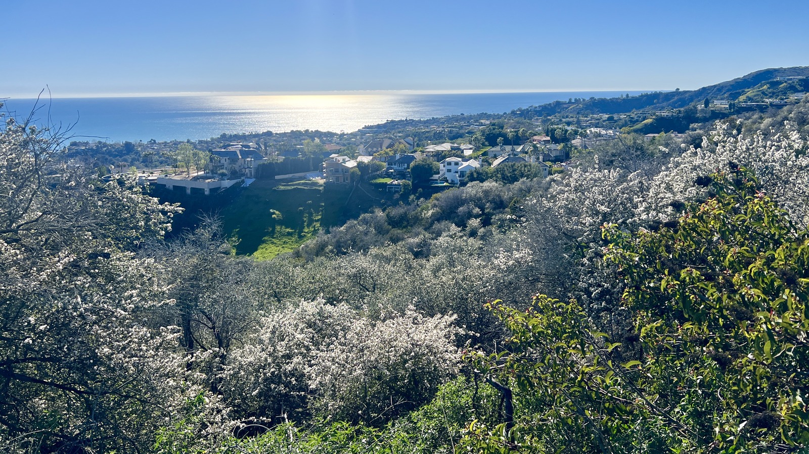 Tucked Between Malibu And Santa Monica Is California's Sun-Drenched Getaway Alive With Art And Unique Charm