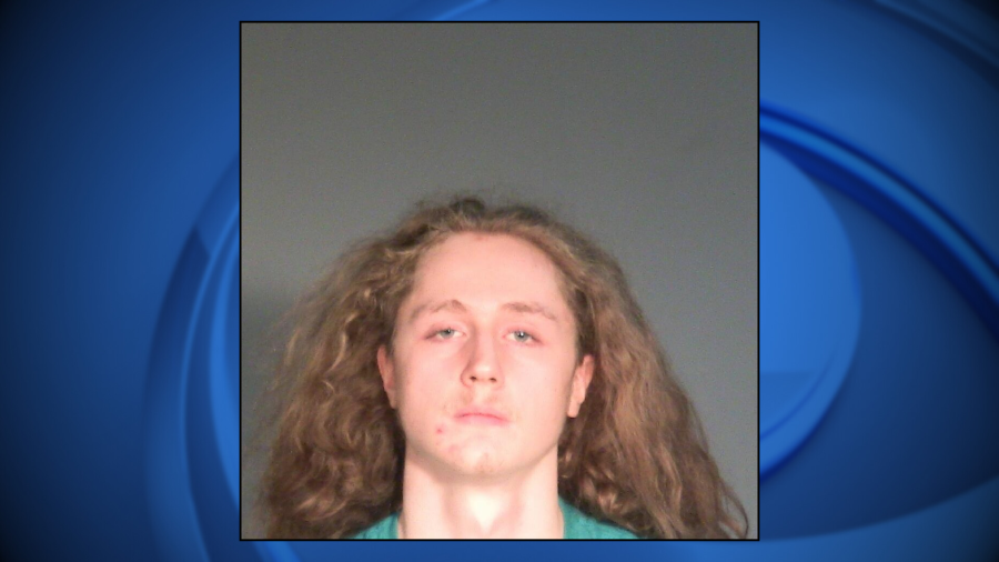 Taycheedah man accused of virtual child porn seeks dismissal of 9 counts due to alleged First Amendment violations