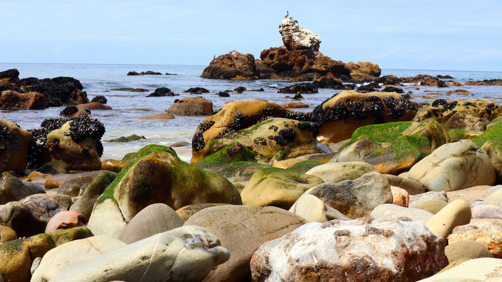Hidden On California's Pacific Coast Highway Is A Wild Malibu Beach With Sand, Tide Pools, And Unique Rocks